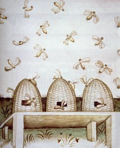 Beehives, from Tacuinum Sanitatis by Italian School