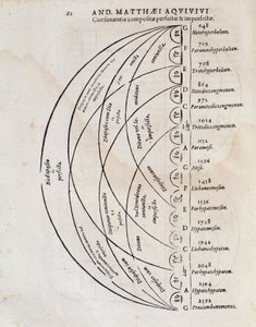 Perfect consonance table from Principi omnibus belli by Andreae Matthaei Aquiviv