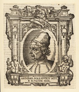 Portrait of Antonio del Pollaiuolo