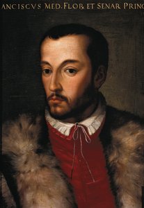 Portrait of Francesco I de Medici by Italian School