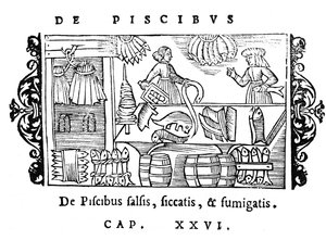 Salting, drying and smoking fish, illustration from Historia de Gentibus Septentrionalibus by Olaus Magnus, published in Rome, 1555 by Italian School