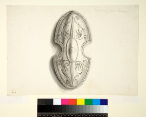 Shield