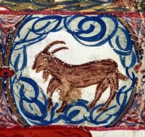 Sign of the capricorn. Italian horoscope dating from the mid-15th century.