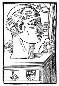 The Brain and Human Faculties, from Anatomia Mundini, French edition
