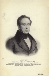 Vincenzo Bellini by Italian School