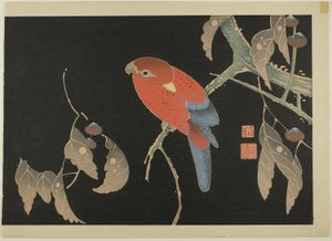 Red Parrot on the Branch of a Tree