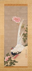 Silver Pheasant and Peonies