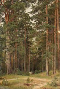 A Summer Day, Merikiul