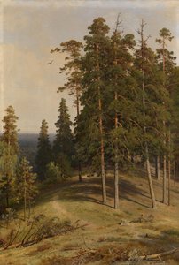 The Pine Forest