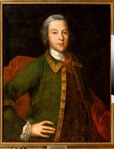 Portrait of the Count P Panin