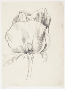 Poppy by J.A. Jerichau