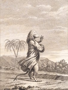 A Martinique Monkey by J.F. Clemens