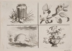 Vignettes for Bonnet