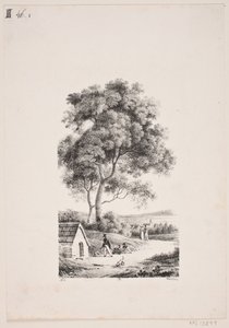 Walking on a Road, Tall Trees to the Left by J.F. Møller