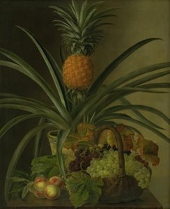 A Pineapple and Other Fruits