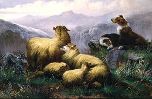 Sheep Dogs and Sheep in the Scottish Highlands by J.W. Morris