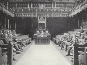The House of Commons in Committee by J. Benjamin Stone