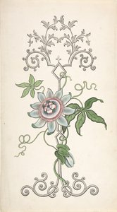 Design for Panel Decoration Centered on a Passion Flower by J Hulme