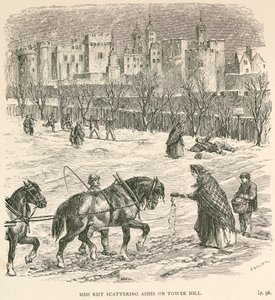 Miss Rist scattering ashes on Tower Hill, London