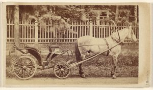 Small Carriage with Horse by J. Monstein