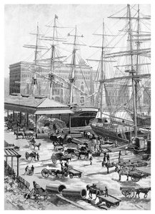 Shipping, Circular Quay, Sydney, New South Wales, Australia