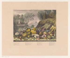Javanese Fruits by J. Schnell