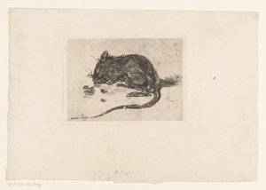 Mouse