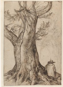 Study of a Tree Trunk by Jacob II de Gheyn