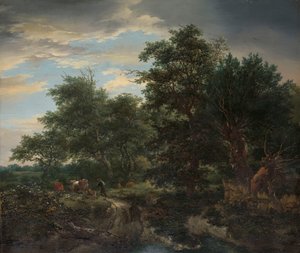 Forest Scene by Jacob van Ruisdael