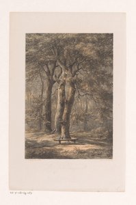 Jacoba Arbor by Jacob Jan van der Maaten