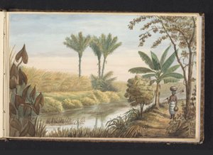 View of Field with Sugarcane Plantation Visserszorg (series title: Album with Drawings of Suriname, p.7 (50)) by Jacob Marius Adriaan Martini van Geffen