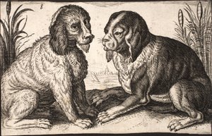 Two dogs by a lakeside by Jacob Matham
