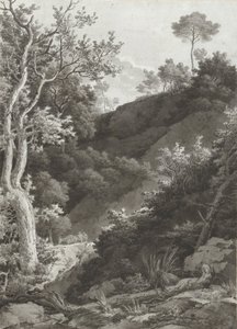 Wooded Mountain Slope