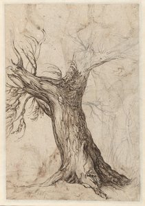 Chestnut Tree with Some Surrounding Trees by Jacob de Gheyn (II)