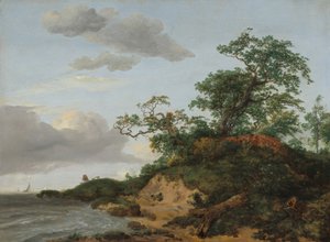Dunes by the Sea