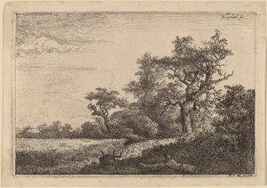 Grain Field at the Edge of a Wood