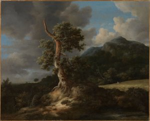 Mountainous Landscape with a Blasted Oak Tree by Jacob van Ruisdael