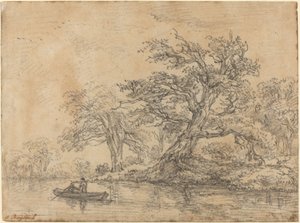 Old Trees along a Bank