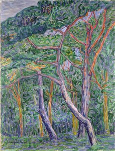 Pine Trees by Jacoba van Heemskerck