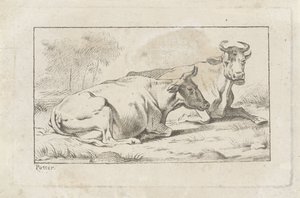 Two Lying Cows