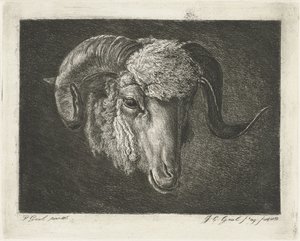 Head of a Ram with Curved Horns