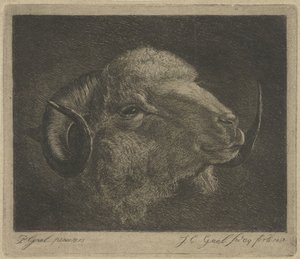 Head of a Ram with Backward Curved Horns
