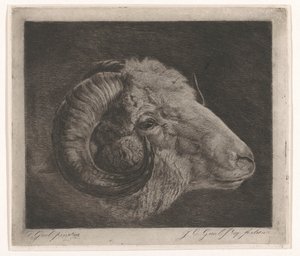 Head of a Ram with Curved Horn