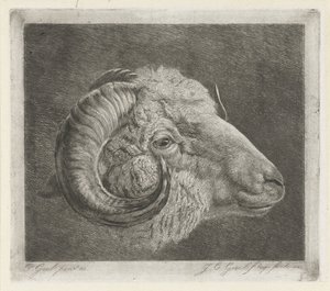 Head of a Ram with Curved Horn