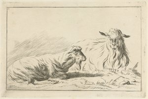 Two Lying Goats