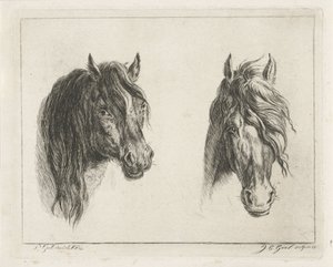 Two Horse Heads