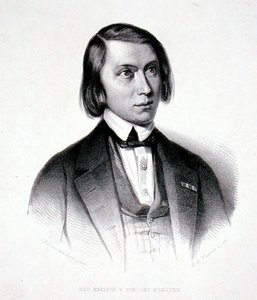 Portrait of Josephus Hermanus Verhulst (1816-91) by Jacobus Everardus Josephus van den (after) Berg