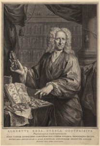 Portrait of Albert Seba, Pharmacist and Famous Naturalist Collector by Jacobus Houbraken