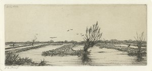 Peat Bog by Jacobus Ludovicus Cornet