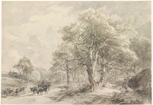 Winter Landscape